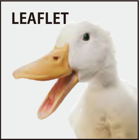 配布済チラシ（全5回）