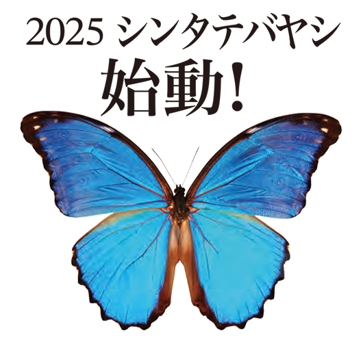 バタフライエフェクト